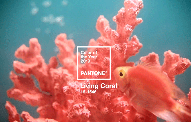 มาแล้ว!! PANTONE ประกาศสีแห่งปี 2019 ได้แก่สี Living Coral